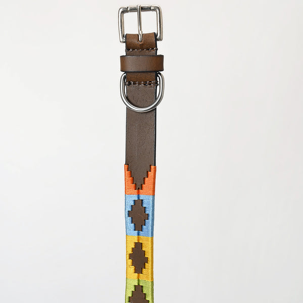 BEG102-Western Leather Dog Collar