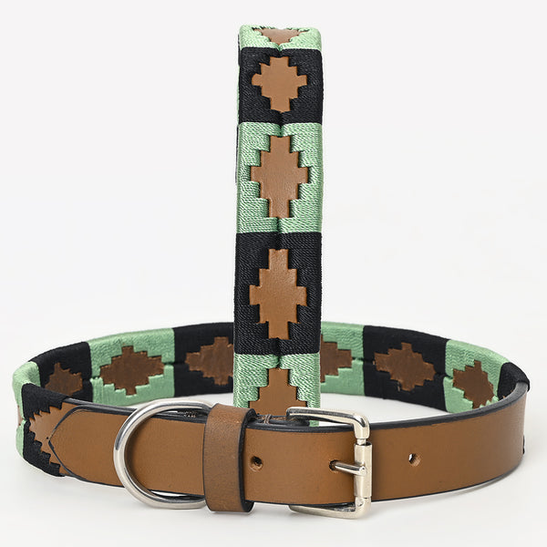 BEG101-Western Leather Dog Collar